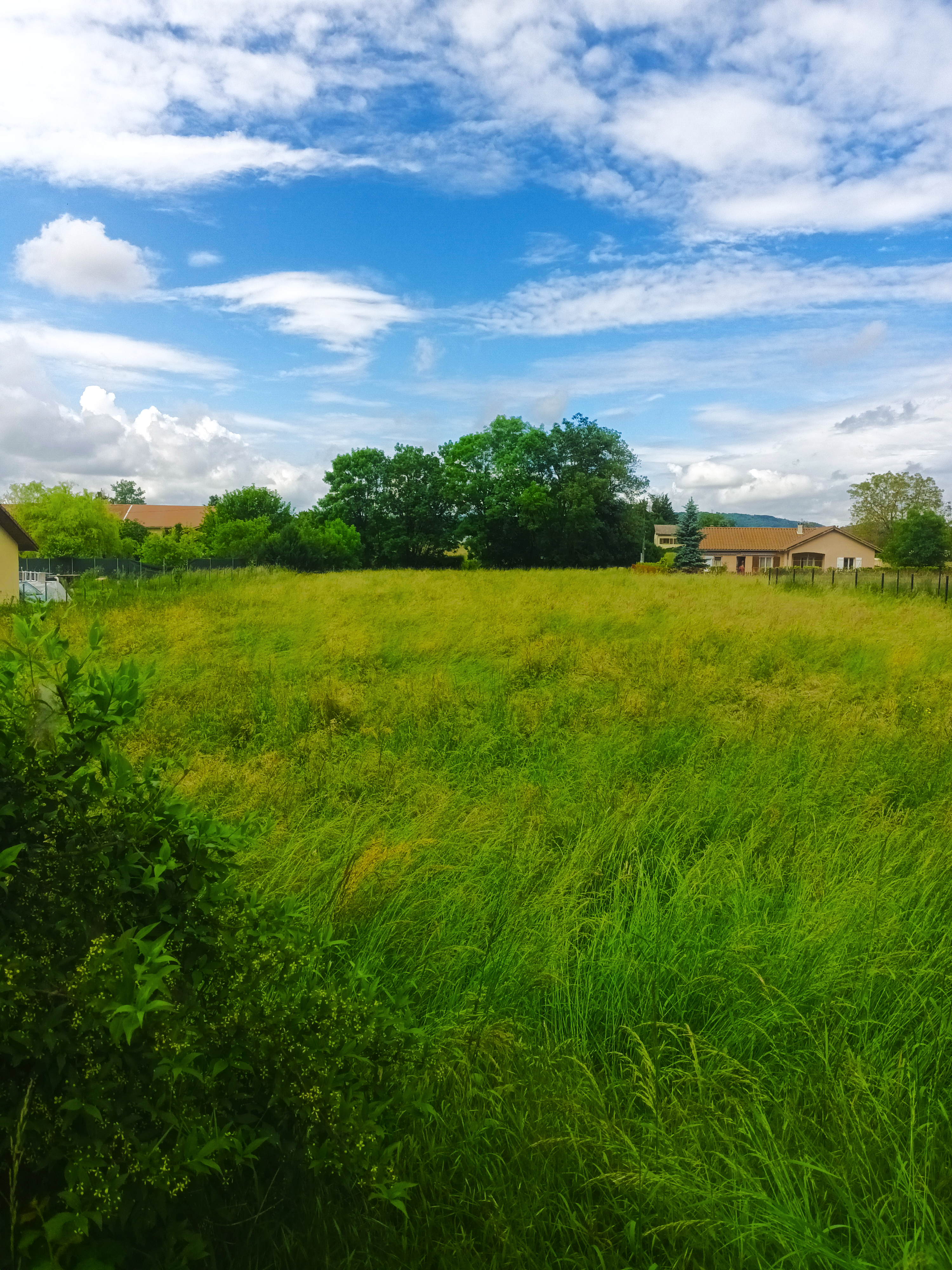 vente-terrain-isere-constructible-ione.jpg