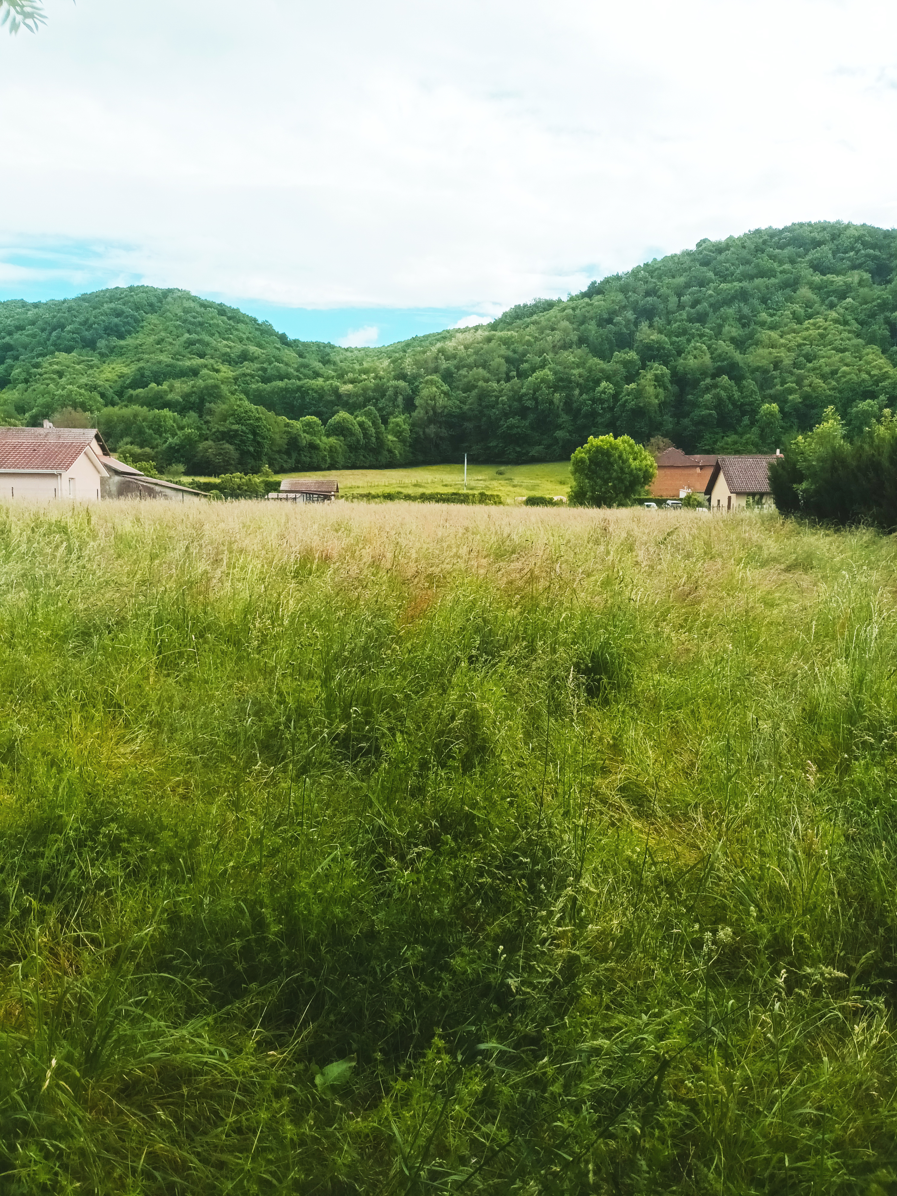 vente-terrain-isere-constructible-ione.jpg