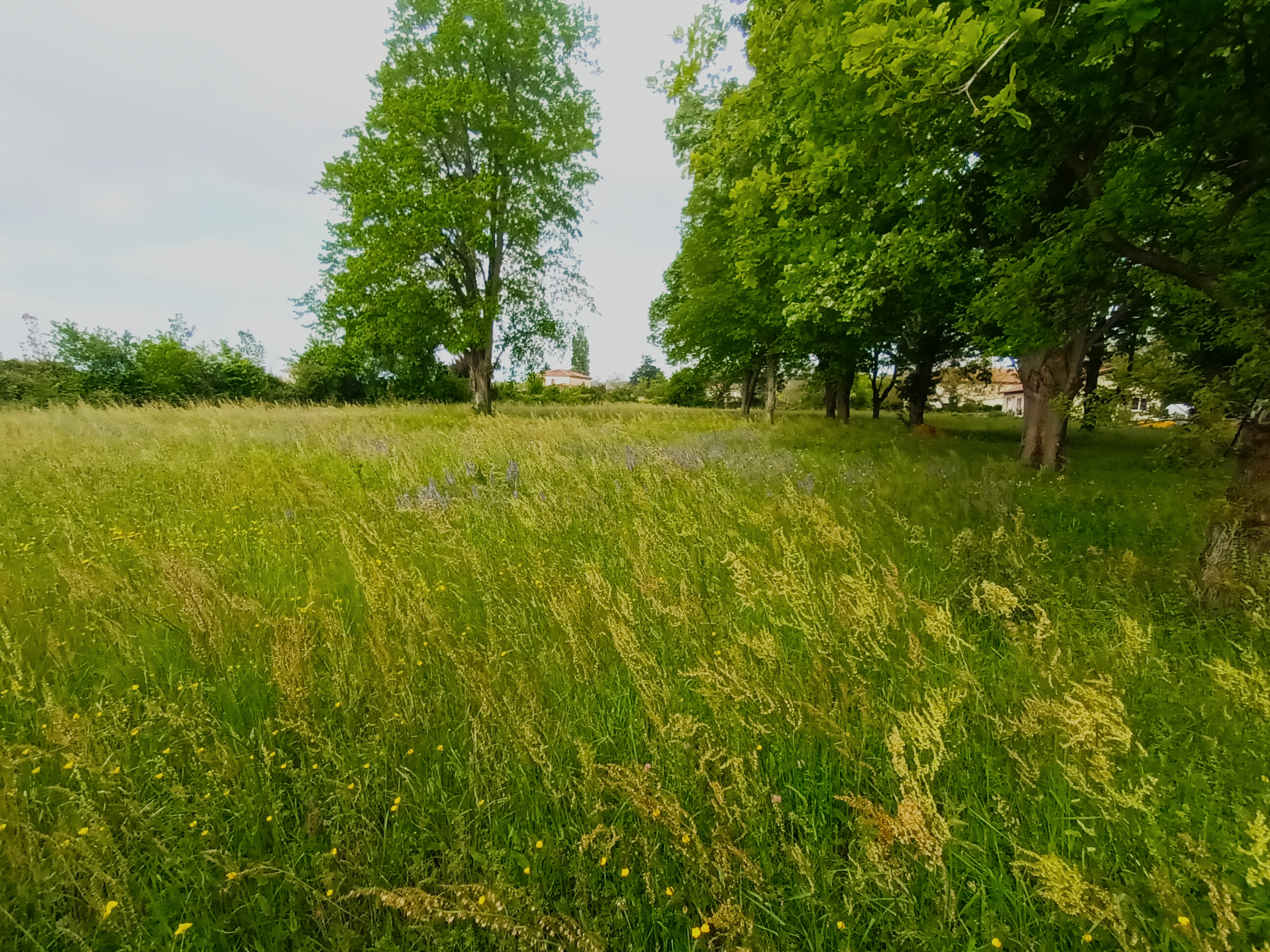 projet-immobilier-chonas-lamballan-echangeur-vienne-sud